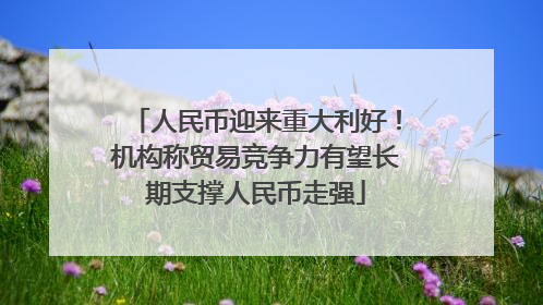 人民币迎来重大利好！机构称贸易竞争力有望长期支撑人民币走强