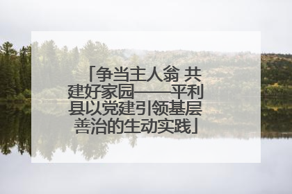 争当主人翁 共建好家园——平利县以党建引领基层善治的生动实践