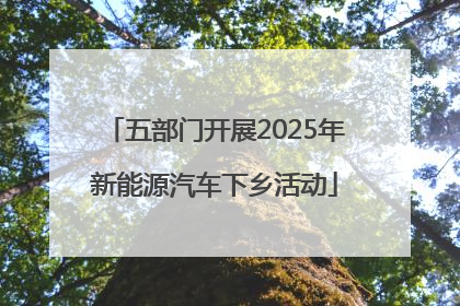 五部门开展2025年新能源汽车下乡活动