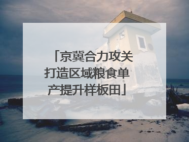 京冀合力攻关打造区域粮食单产提升样板田
