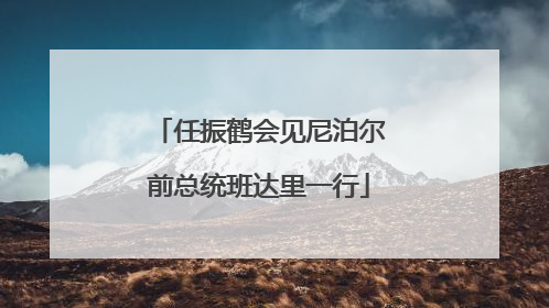 任振鹤会见尼泊尔前总统班达里一行
