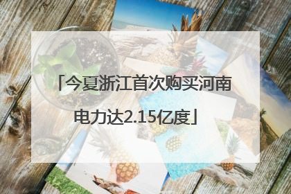 今夏浙江首次购买河南电力达2.15亿度