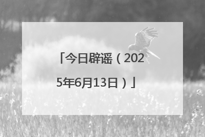今日辟谣（2025年6月13日）
