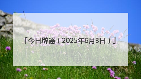 今日辟谣（2025年6月3日）