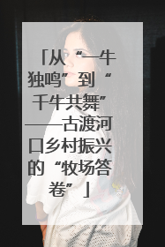 从“一牛独鸣”到“千牛共舞”——古渡河口乡村振兴的“牧场答卷”