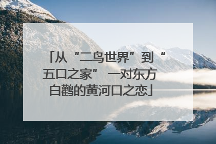从“二鸟世界”到“五口之家” 一对东方白鹳的黄河口之恋