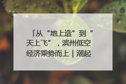 从“地上造”到“天上飞”，滨州低空经济乘势而上｜潮起渤海・网聚黄蓝