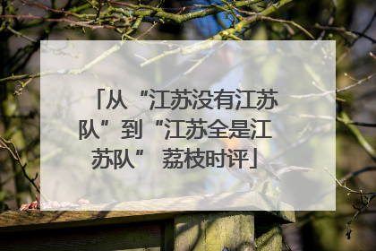 从“江苏没有江苏队”到“江苏全是江苏队” 荔枝时评