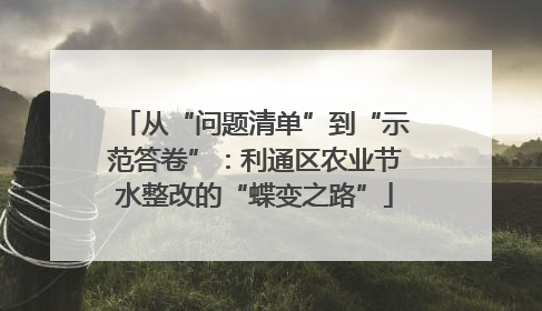 从“问题清单”到“示范答卷”：利通区农业节水整改的“蝶变之路”