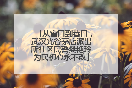 从窗口到巷口，武汉光谷茅店派出所社区民警樊艳玲为民初心永不改
