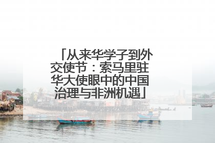 从来华学子到外交使节：索马里驻华大使眼中的中国治理与非洲机遇