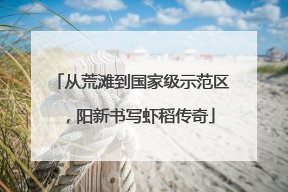 从荒滩到国家级示范区，阳新书写虾稻传奇