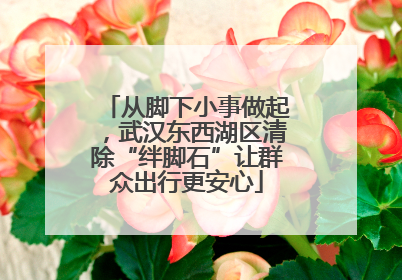 从脚下小事做起，武汉东西湖区清除“绊脚石”让群众出行更安心