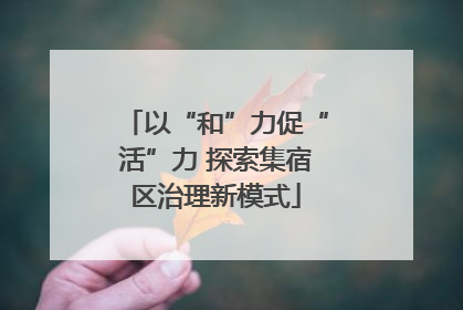 以“和”力促“活”力 探索集宿区治理新模式