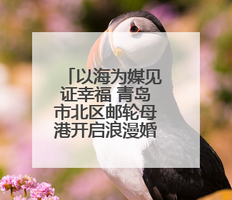 以海为媒见证幸福 青岛市北区邮轮母港开启浪漫婚旅新体验