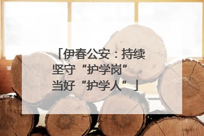 伊春公安：持续坚守“护学岗” 当好“护学人”