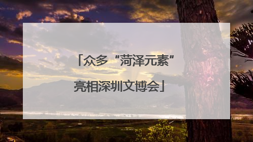众多“菏泽元素”亮相深圳文博会