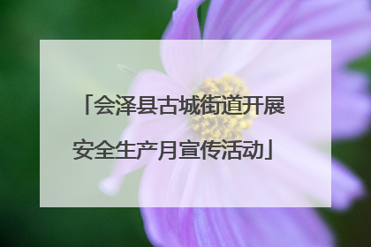 会泽县古城街道开展安全生产月宣传活动