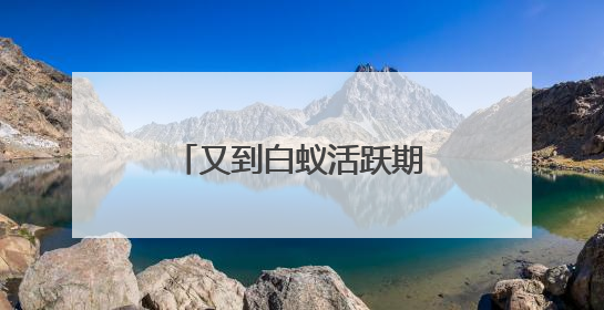 又到白蚁活跃期 池州专业防治人员教你如何应对