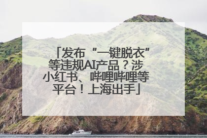 发布“一键脱衣”等违规AI产品？涉小红书、哔哩哔哩等平台！上海出手