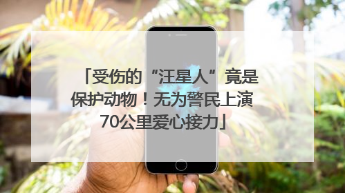 受伤的“汪星人”竟是保护动物！无为警民上演70公里爱心接力