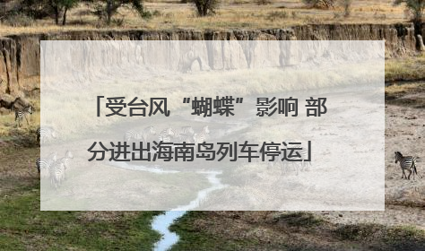 受台风“蝴蝶”影响 部分进出海南岛列车停运