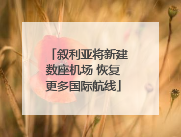 叙利亚将新建数座机场 恢复更多国际航线