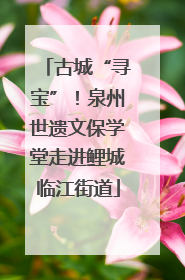 古城“寻宝”！泉州世遗文保学堂走进鲤城临江街道