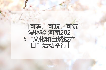 可看、可玩、可沉浸体验 河南2025“文化和自然遗产日”活动举行