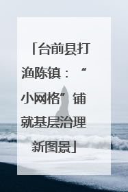 台前县打渔陈镇：“小网格”铺就基层治理新图景