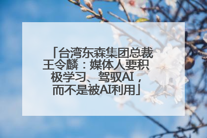 台湾东森集团总裁王令麟：媒体人要积极学习、驾驭AI，而不是被AI利用