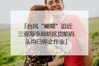 台风“蝴蝶”迫近 三亚海事局辖区货船码头均已停止作业