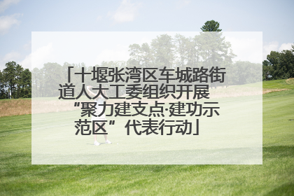 十堰张湾区车城路街道人大工委组织开展 “聚力建支点·建功示范区”代表行动