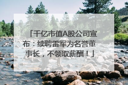 千亿市值A股公司宣布：续聘雷军为名誉董事长，不领取薪酬！