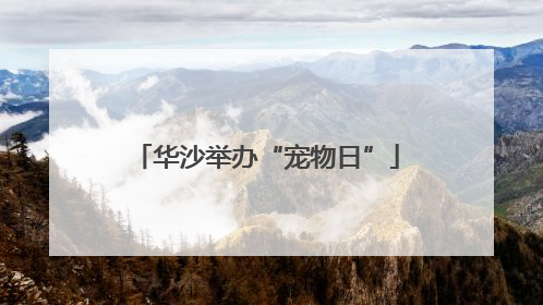 华沙举办“宠物日”