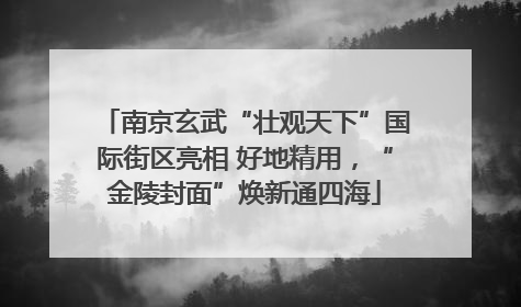 南京玄武“壮观天下”国际街区亮相 好地精用，“金陵封面”焕新通四海
