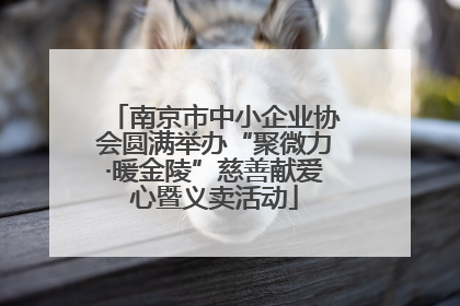 南京市中小企业协会圆满举办“聚微力·暖金陵”慈善献爱心暨义卖活动