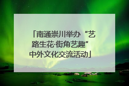 南通崇川举办“艺路生花·街角艺趣”中外文化交流活动
