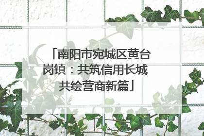 南阳市宛城区黄台岗镇：共筑信用长城 共绘营商新篇
