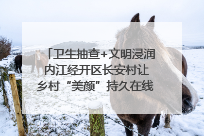 卫生抽查+文明浸润 内江经开区长安村让乡村“美颜”持久在线｜万千气象看四川