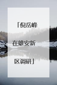 倪岳峰在雄安新区调研