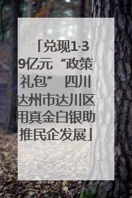 兑现1·39亿元“政策礼包” 四川达州市达川区用真金白银助推民企发展