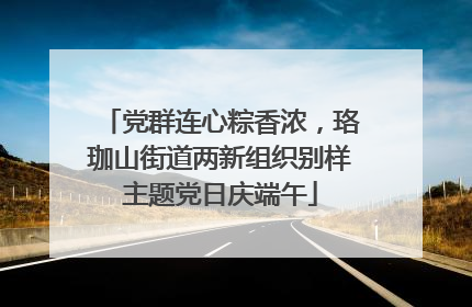 党群连心粽香浓，珞珈山街道两新组织别样主题党日庆端午