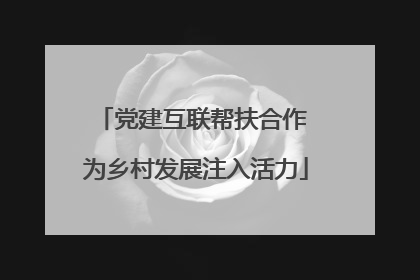 党建互联帮扶合作 为乡村发展注入活力