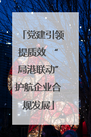 党建引领提质效 “局港联动”护航企业合规发展