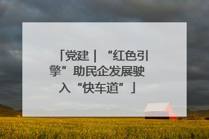 党建｜“红色引擎”助民企发展驶入“快车道”