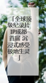 全球顶级纪录片IP成都首展 沉浸式感受极地生灵