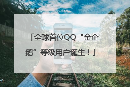 全球首位QQ“金企鹅”等级用户诞生！