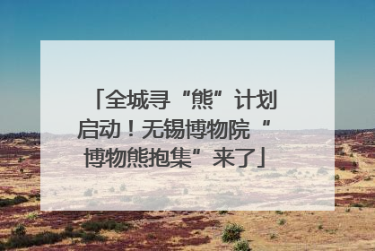 全城寻“熊”计划启动！无锡博物院“博物熊抱集”来了