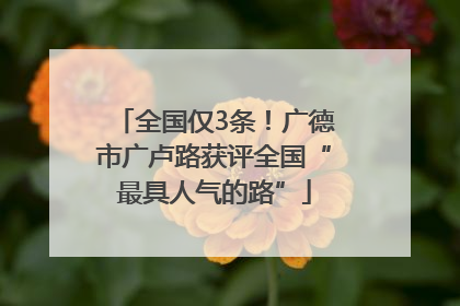 全国仅3条！广德市广卢路获评全国“最具人气的路”